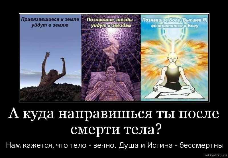 После того как мы уйдем. После того как мы уйдем