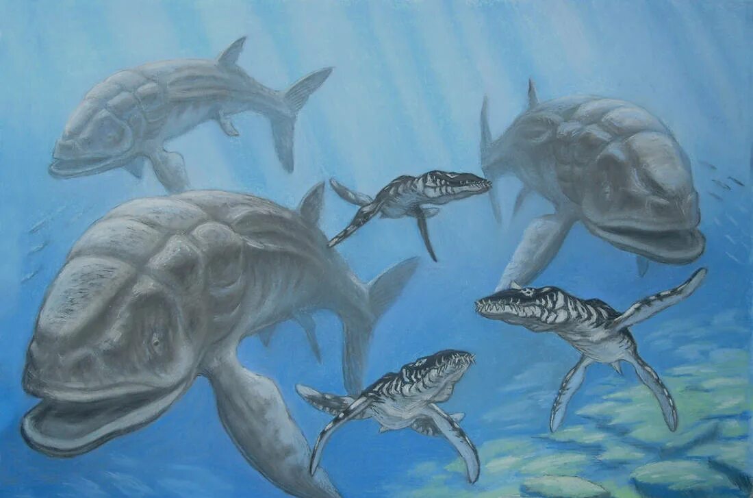 Лидсихтис рыба. Доисторическая рыба Лидсихтис. Лидсихтис Юрский период. Лидсихтис динозавр.