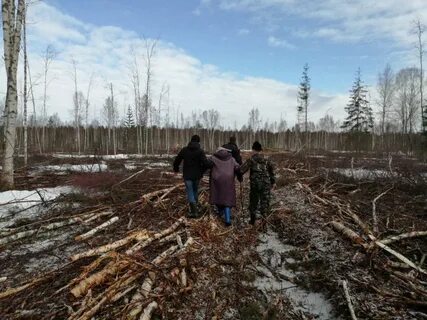 Попросила вывести из леса