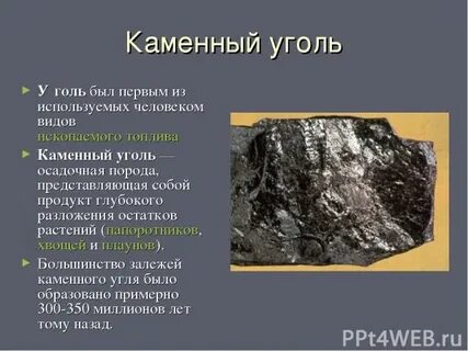 Каменный уголь какой вид полезных ископаемых