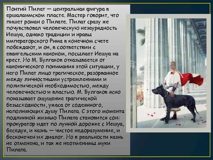 Проблема нравственного выбора в романе мастер. Проблема нравственного выбора в романе мастер