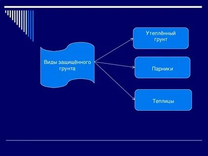 Защищенные вид