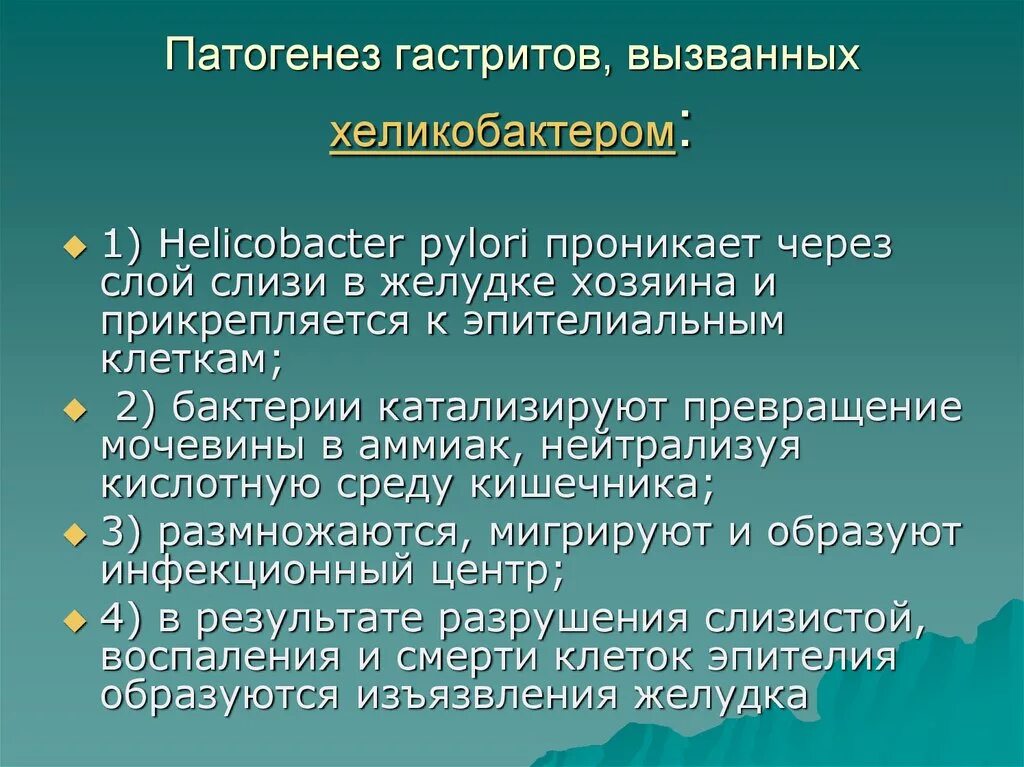 Роль гастрита. Патогенез Helicobacter pylori язвенная болезнь. Патогенез гастрита хеликобактер. Хеликобактер ассоциированный гастрит патогенез. Патогенез гастрита хеликобактер пилори.