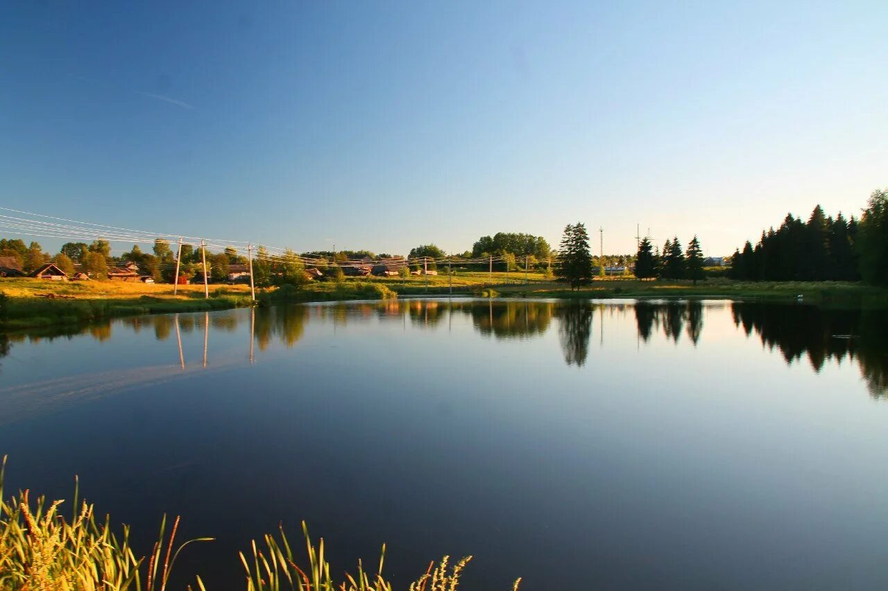 Шмелёв пруд мордовия. Река разварня истринский район. Андреевские пруды саратов. Сад будущего пруд. Осень в люберцах наташинские пруды.