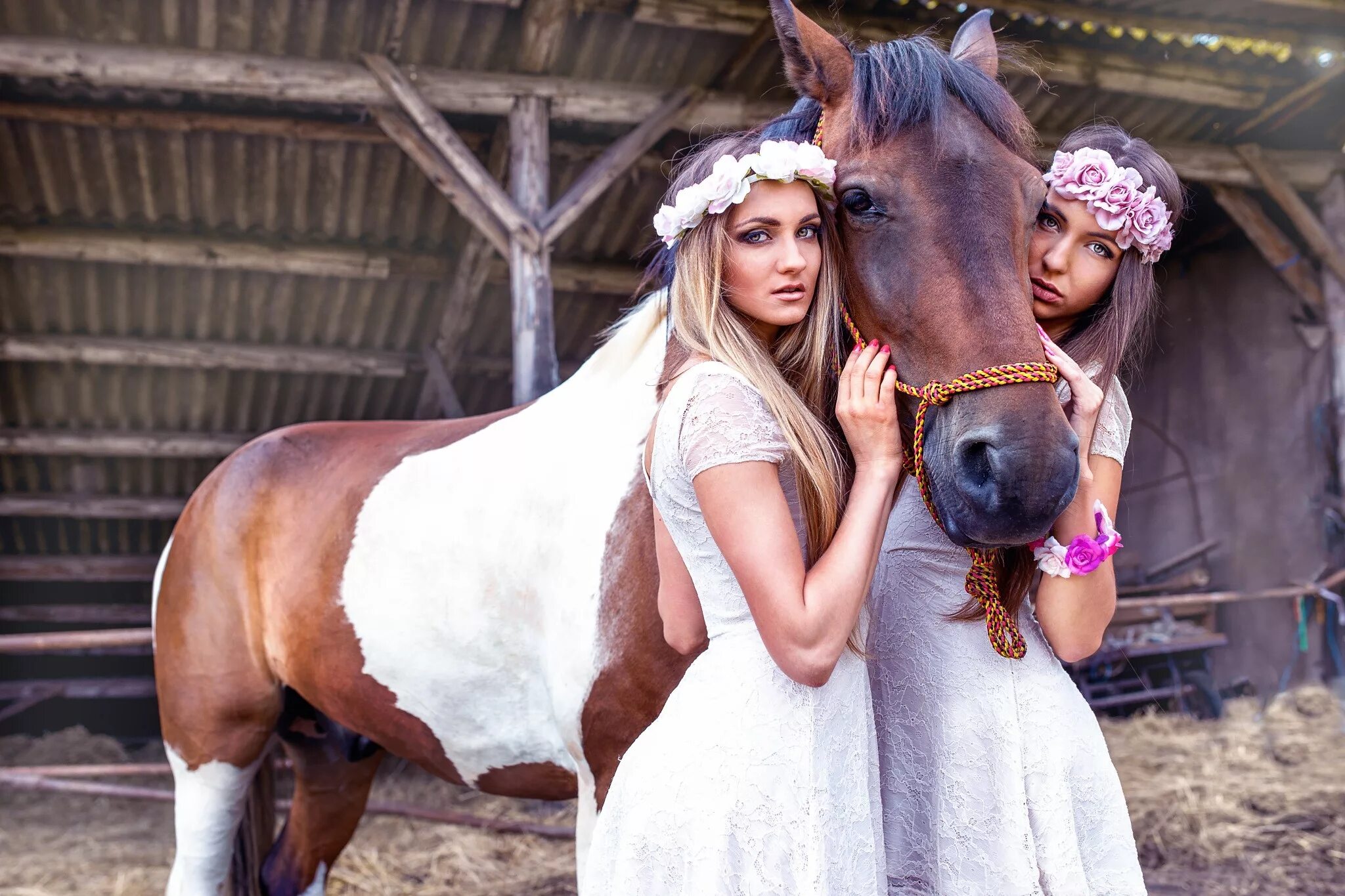 Две девушки на лошадях. Фотосессия с лошадьми. Девушка с лошадью. Фотосессия подруг с лошадьми.