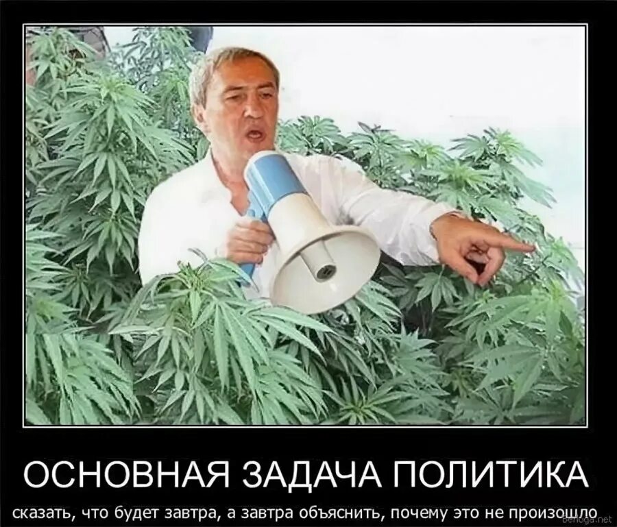С юмором о политике. Смешно про политику. Анекдоты про политику. Смешные политические картинки. Политические шутки.
