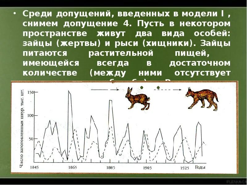 Взаимодействие популяций рыси и зайца наука