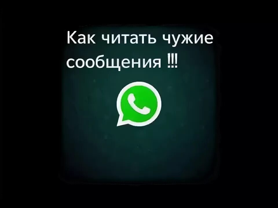 Можно прочитать чужие сообщения. Чужие переписки в ватсапе. Читать чужую переписку. Чужую переписку в WHATSAPP. Как прочитать чужую переписку в WHATSAPP.