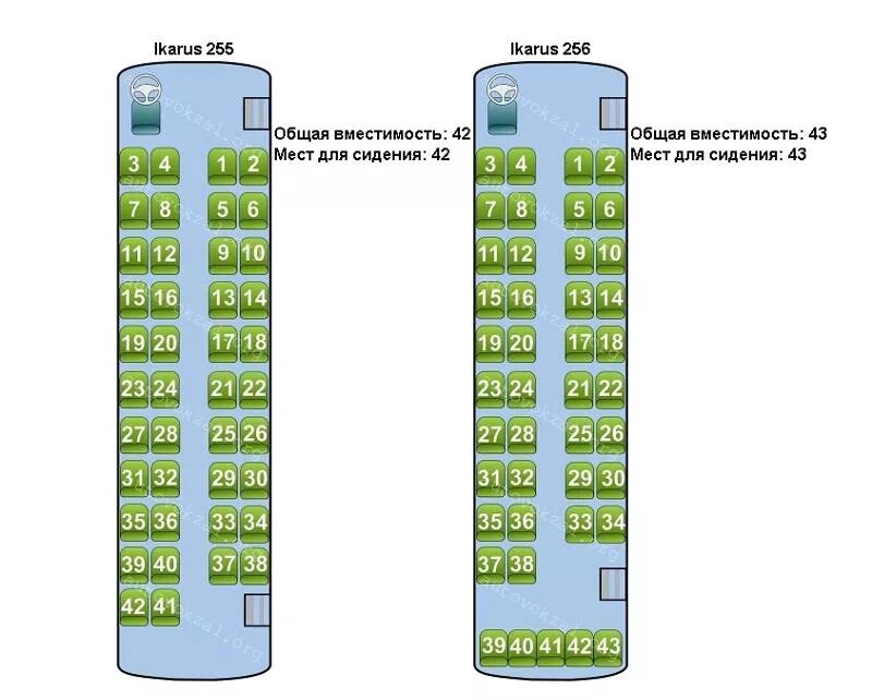 Автобус Ecolines схема мест. Нумерация мест в автобусе ПАЗ 25 мест расположение. Автобус Ютонг на 39 мест расположение. Схема мест автобуса Hyundai 20 мест. Расположение автобуса 49