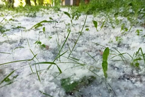 Ходить по рыхлому снегу неудобно 75 кг