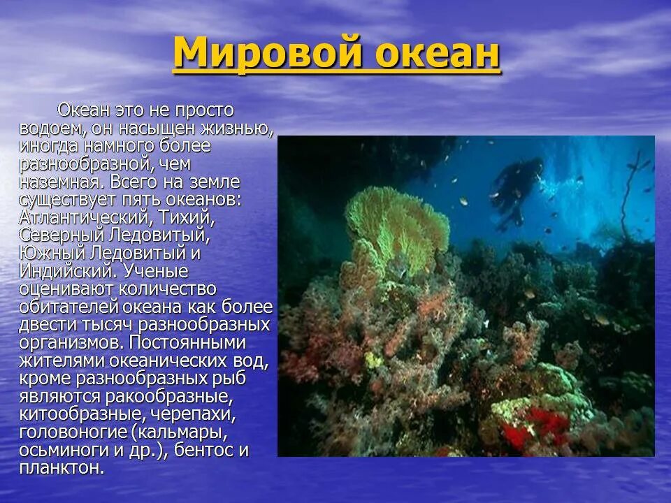 Как изменяется органический мир океанов с глубиной. Доклад на тему обители оенана. рассказ про океан. материал на тему жизнь в океане. животный и растительный мир океанов.