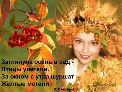 Заглянула осень в сад птицы