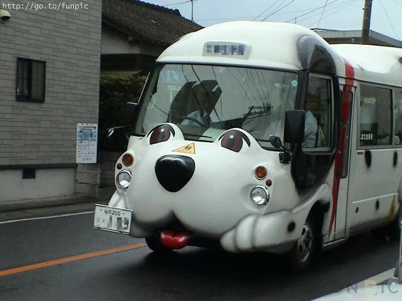 Funny bus