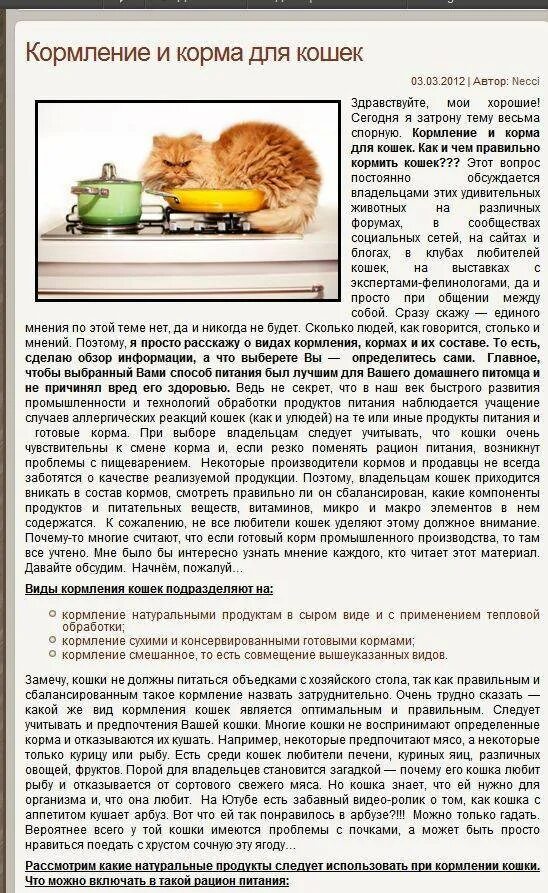 Можно давать котам сыр
