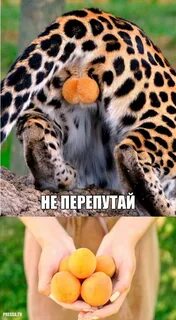 Невозможно прекрасна