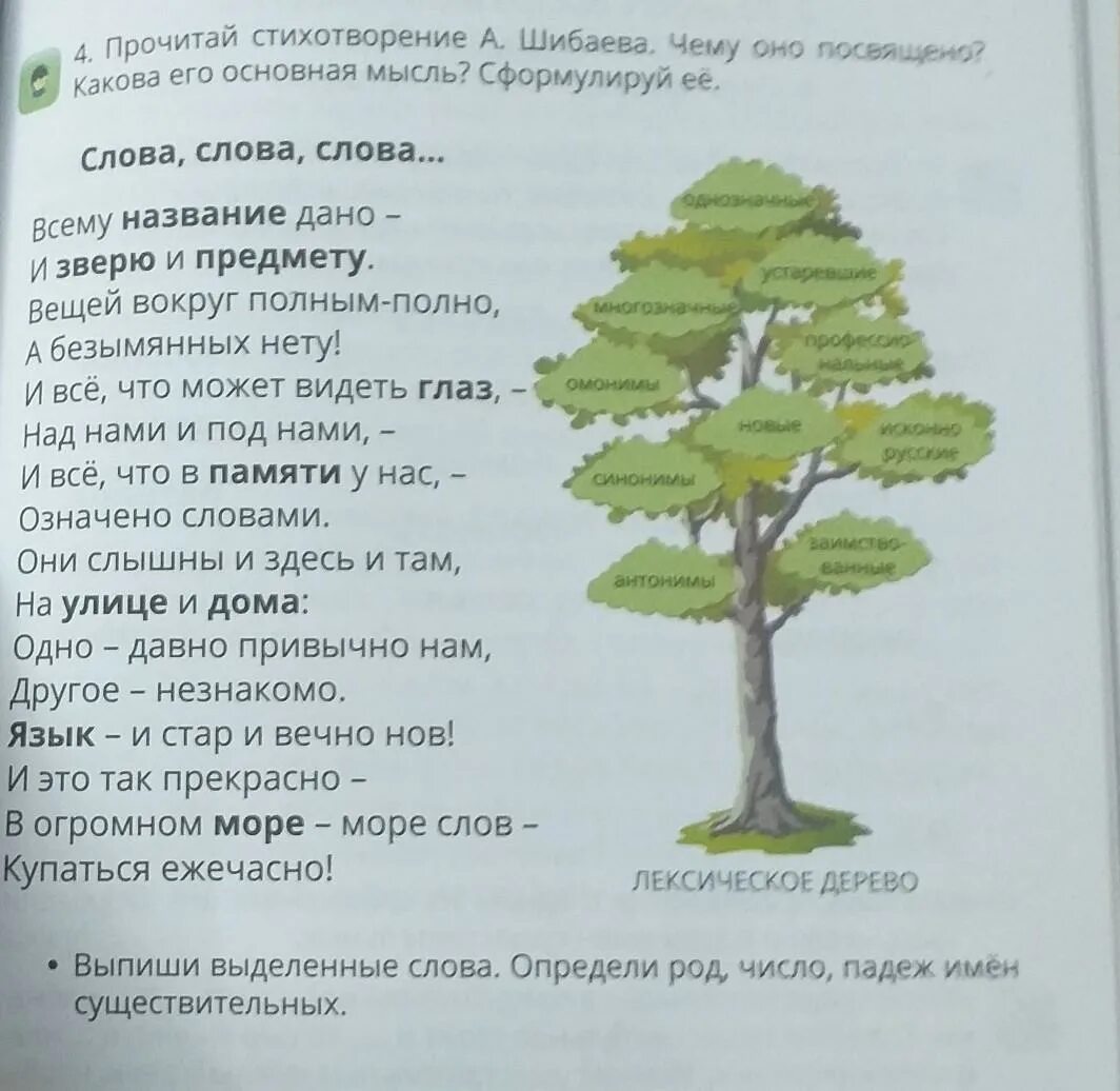 Прочти стихотворение определи существительные. Стихотворение Шибаева. Стихотворение Шибаева слова слова слова. Прочитай стихотворение а Шибаева слова слова слова. Шибаев слова слова слова.