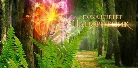 Сколько раз цветет папоротник
