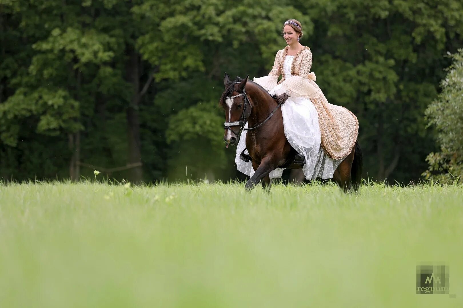 Конный спорт. Обратная наездница фото. Боковая наездница. Прогулка. Лошадь в прыжке.