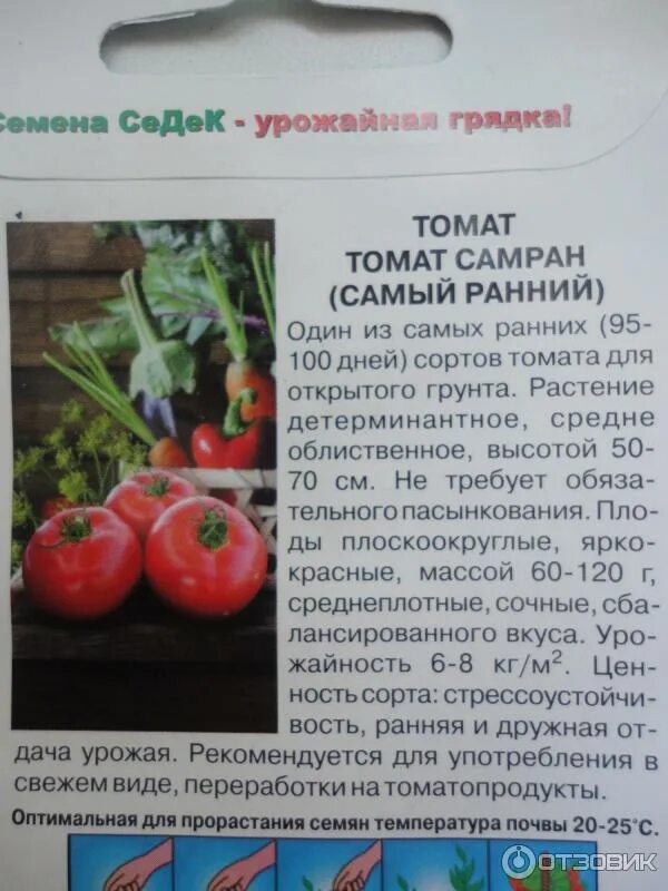 Семена томат стеша f1. Томат сверхранний уральский дачник. Томат турецкий сверхранний f1. Томат турецкий характеристика. Томат f1 барон.