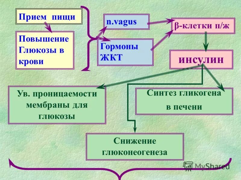 Приведите 2 примера эволюции в природе Мелкие эволюционные приспособления