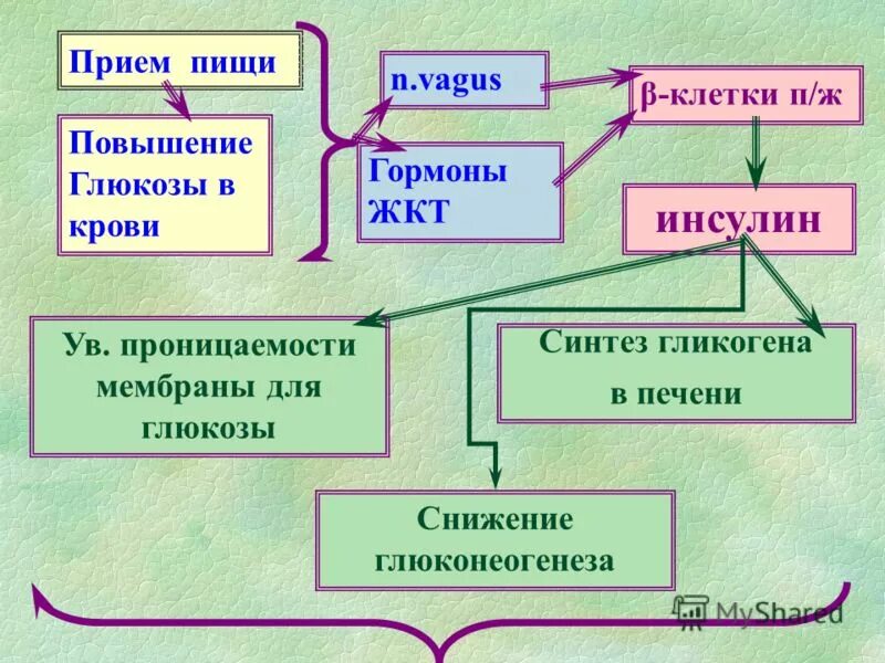 Повышение глюкозы в крови гормон. Эволюция природы при повышенном сахаре. Эволюция природы при повышенном. Клеточный концентрат при повышенном сахаре Эволюция природы.