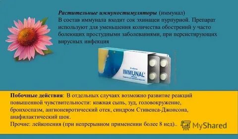 Иммуномодулятор и иммуностимулятор разница