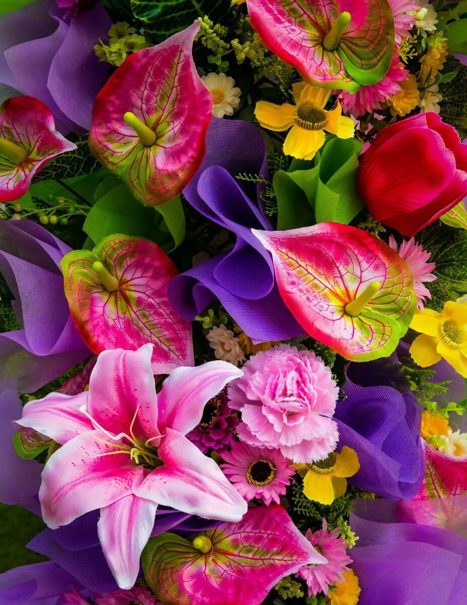 Крупный яркий цветок 4. Антуриум Лилия. Яркие цветы. Яркий букет. Красивые яркие цветы.