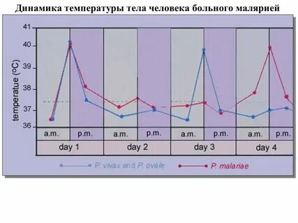 Температура тела больного