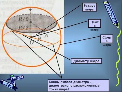 Шар сфера диаметр центр радиус сферы