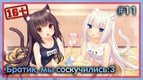 Down the neko hole