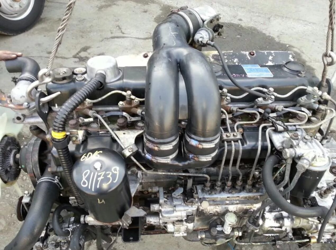 6 д 17. Двигатель 6d16 Mitsubishi. Двигатель Митсубиси Фусо 6d17. Митсубиси Фусо двигатель 6д16. Мицубиси Фусо двигатель 6д17.