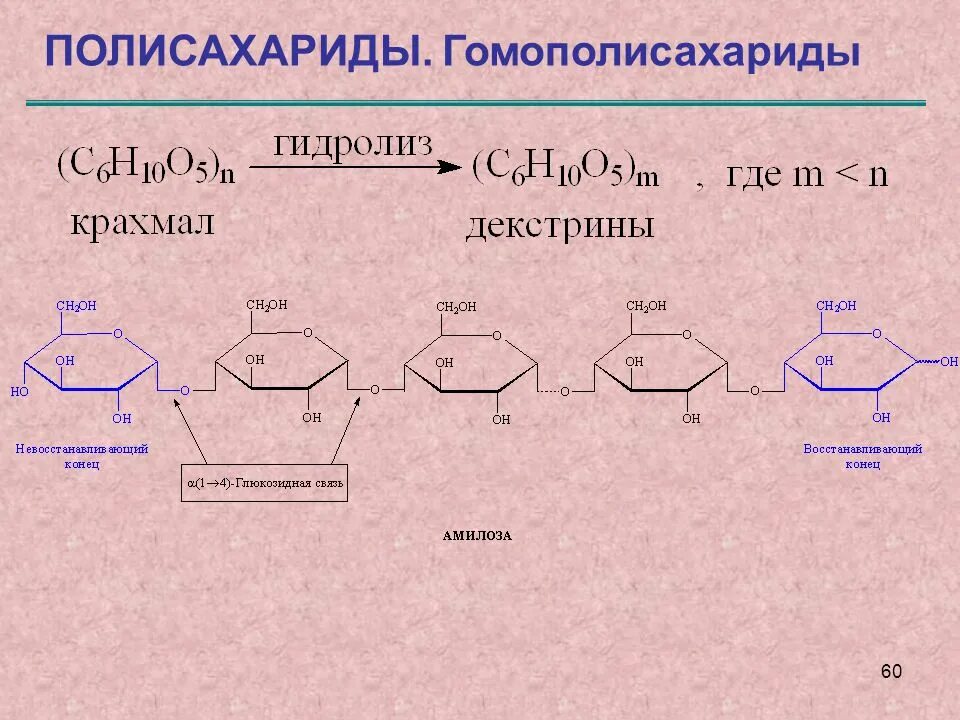 Растение гидролиз. Схема гидролиза полисахаридов. Полисахариды гомополисахариды. Полисахариды крахмал гликоген. Схема реакций гидролиза полисахаридов.