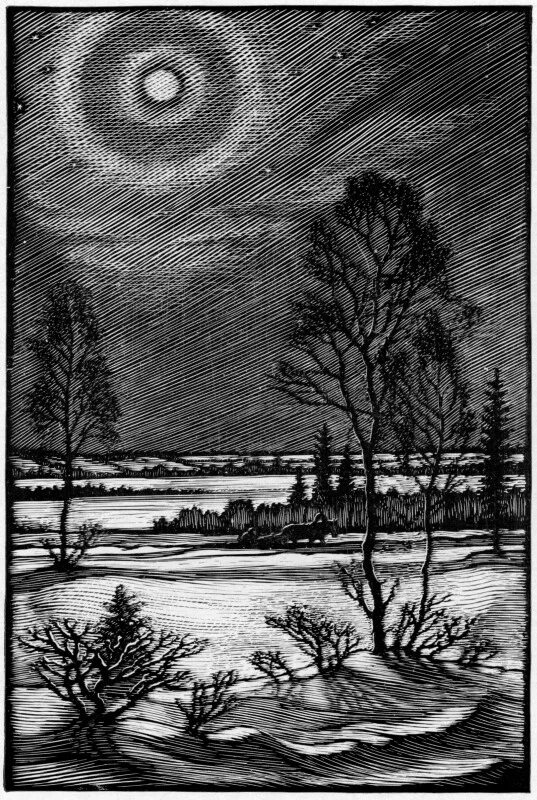 кустарник и мелколесье жутковатая предвечерняя тишина. есенин мелколесье пороша.