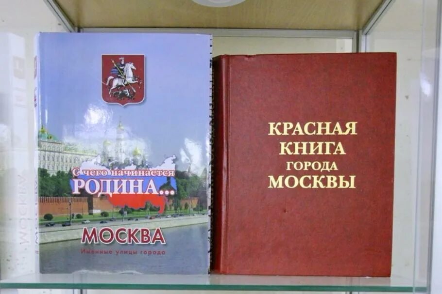 Книги московский район. Красная книга Москвы обложка. Красная книга города Москвы. Книга в городе. Книжка про город.