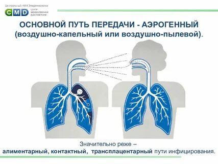 Аэрогенный