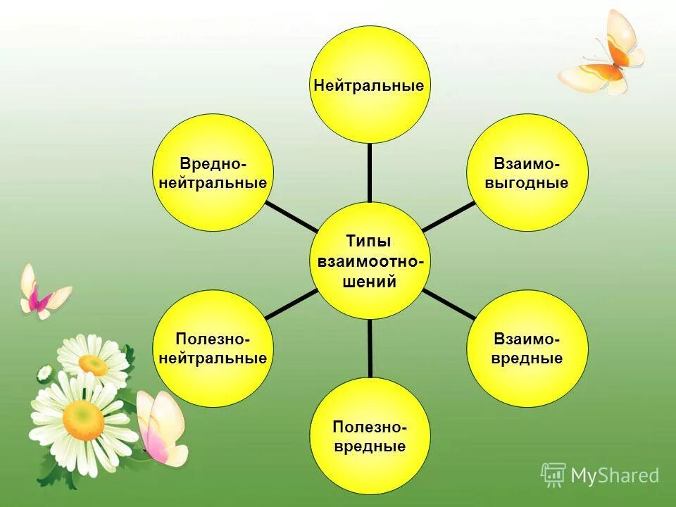 Виды взаимо. Полезно нейтральные отношения. Виды полезно нейтральных отношений. Полезно нейтральные отношения между организмами. Вредно нейтральные отношения.