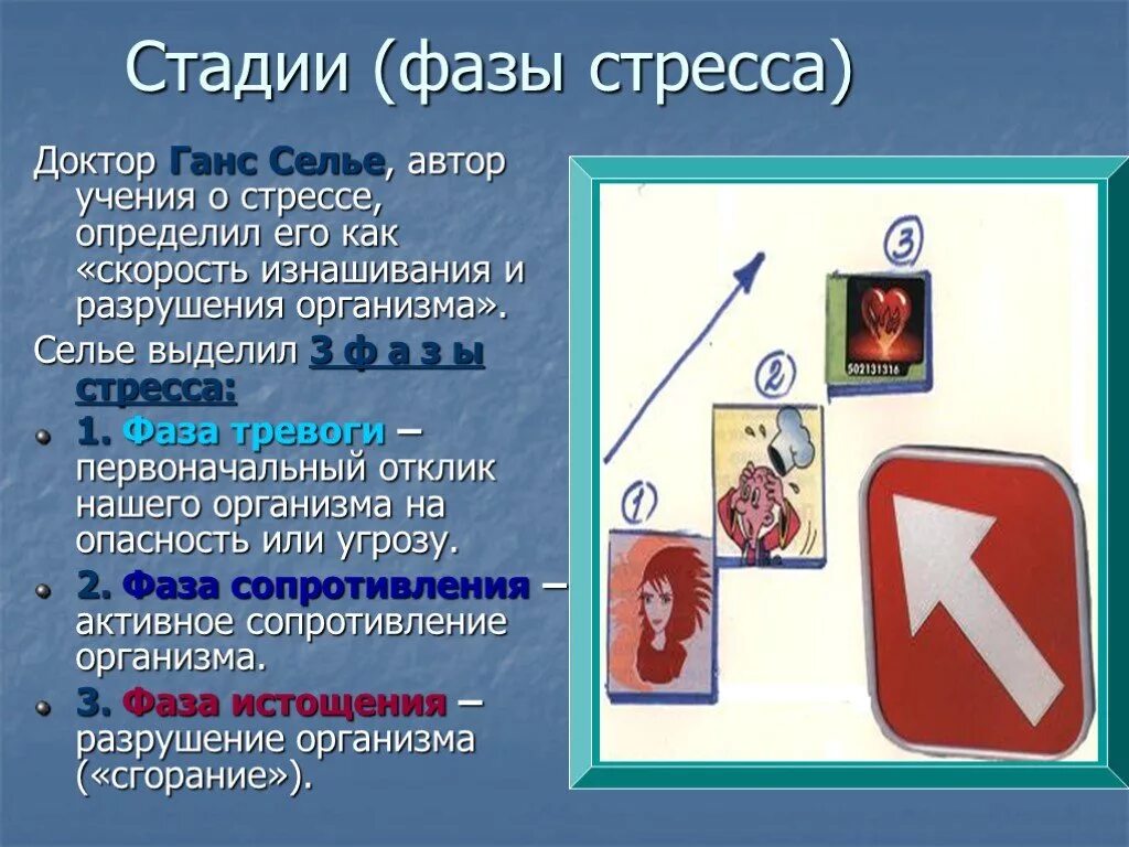 Стадии стресса. Стадии стресса Селье. Ганс Селье стадии стресса. Три стадии стресса Селье. Стадии стресса по г селье