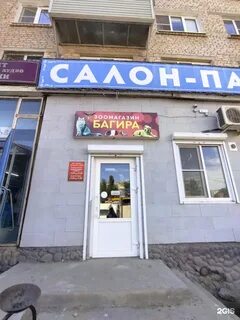 Бумажников 20