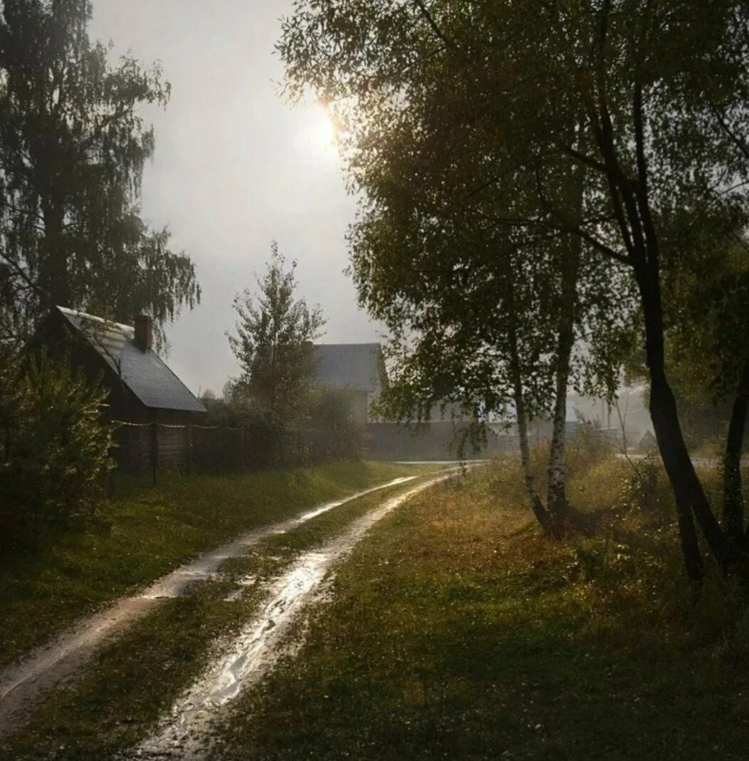 После деревне. Деревня после дождя. Дождь в деревне. Пасмурный день в деревне. Гроза в деревне.