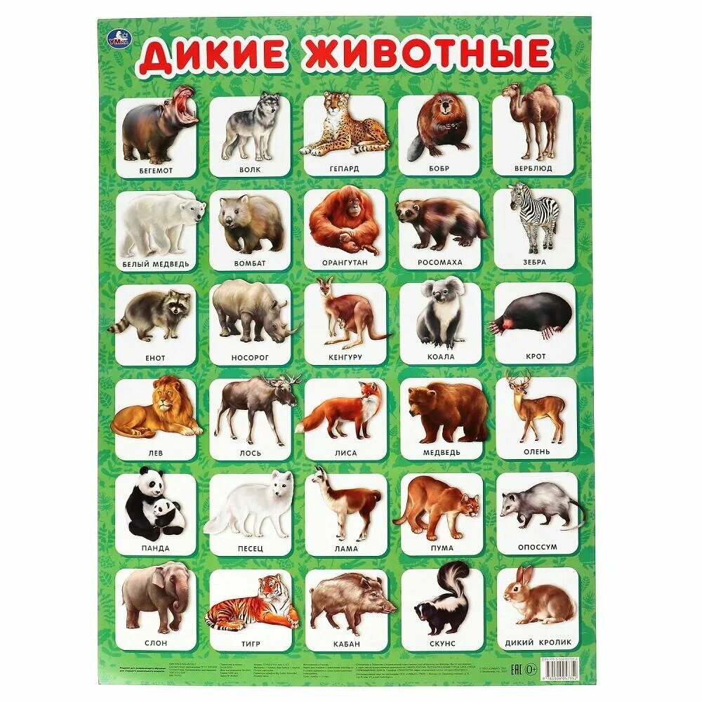 Постер RED HOT CHILI POSTERS, 60x40 см купить по выгодной цене в интернет-магази
