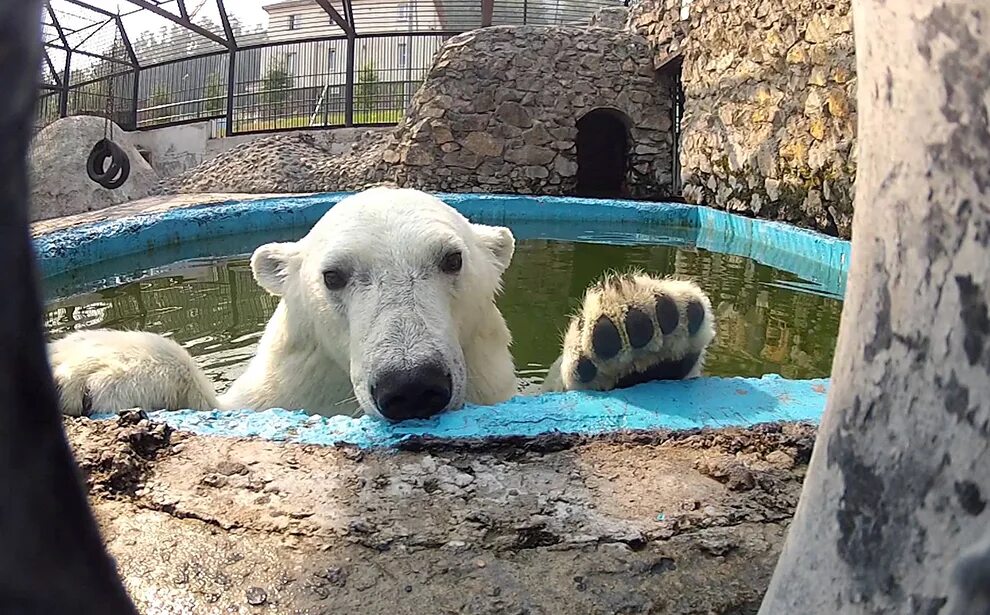 1 раз в зоопарке