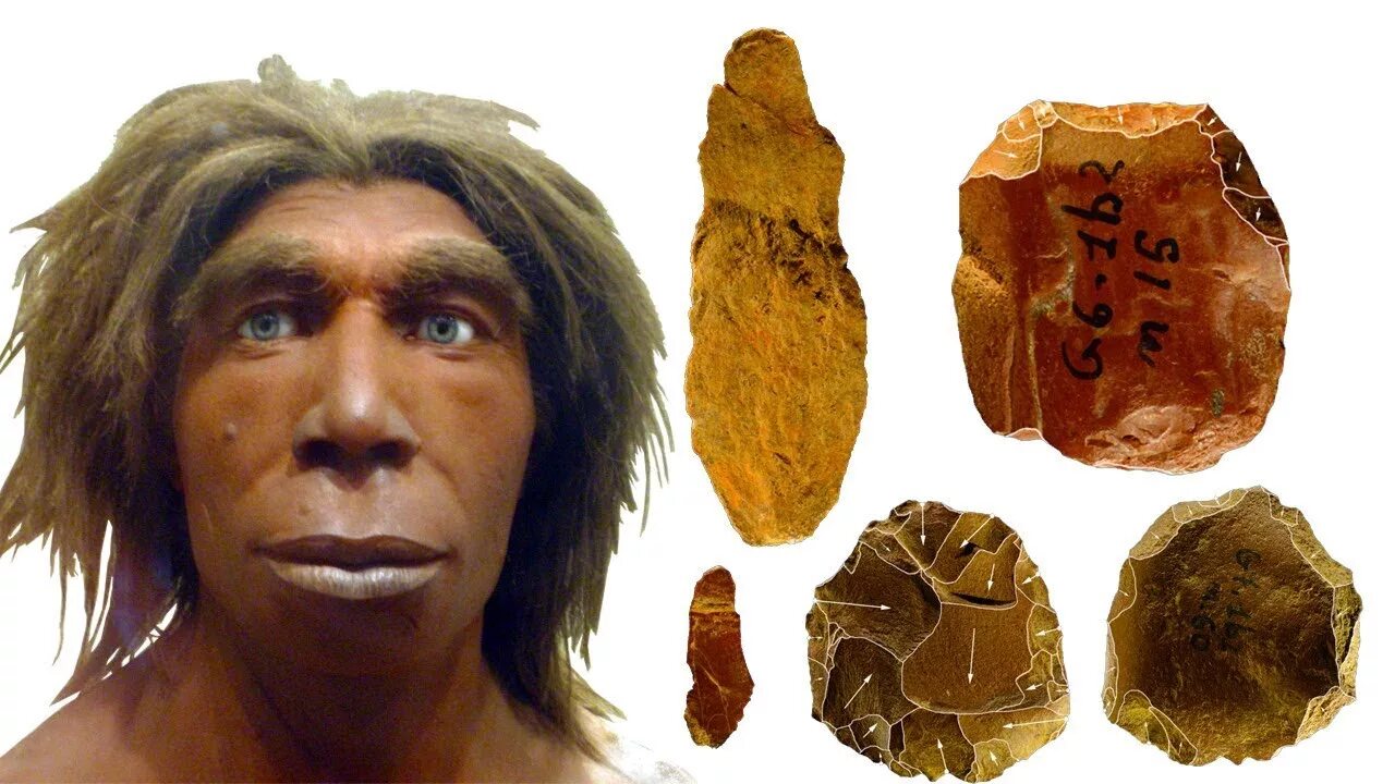 Кроманьонец человек разумный разумный. Неандерталец и кроманьонец. Кроманьонец ( homo sapiens). Неандерталец и хомо сапиенс.