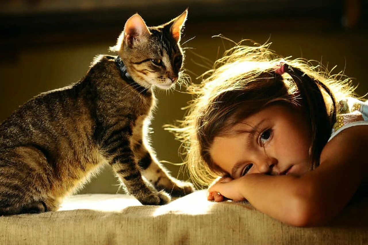 коты и люди. чел с котом. кошка и хозяин. кошка и хозяин. мужчина с котом.