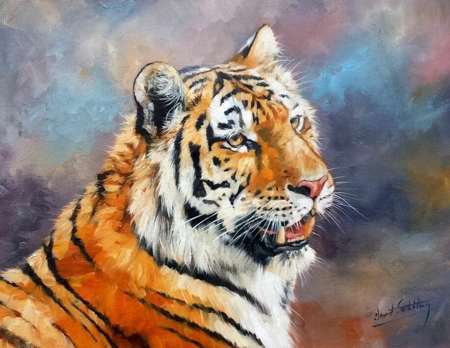 Масло тайгер. David Stribbling художник. Тайгерс портрет портрет Тайгер портрет. Афремов тигр. Тигр живопись.