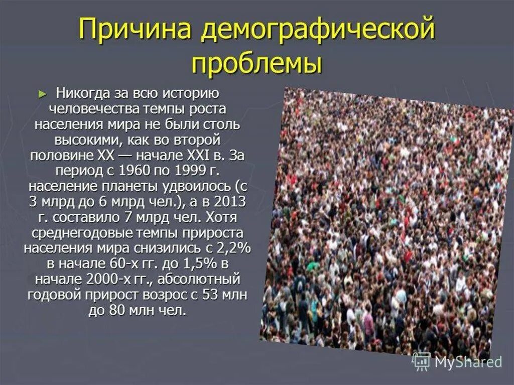 Проблема языка проблема народа