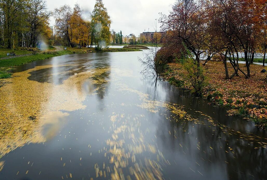 В красках осени / Карелия, Петрозаводск, 2021 год