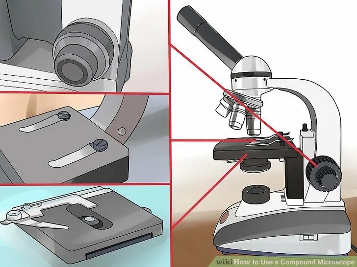 Части микроскопа выполняют функции предметный столик. Предметный столик микроскопа. Столик для микроскопа. Часть микроскопа предметный столик. Строение предметного столика микроскопа.