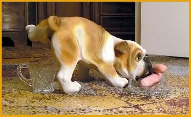 Всем здрасте. Совсем чуток. Диана шурыгина на донышке мем. Кошки и суп. Диана шурыгина мем.