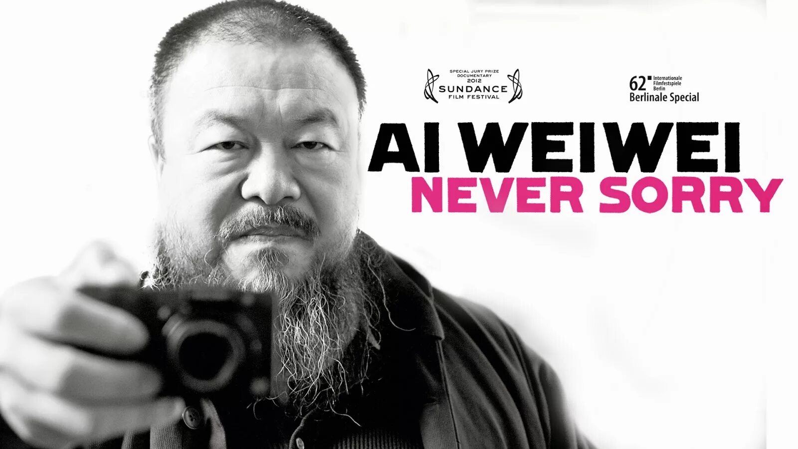 Never sorry. Ай Вейвей. Ai Weiwei never sorry.