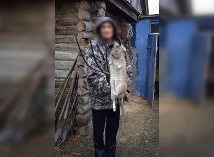 4 поймали